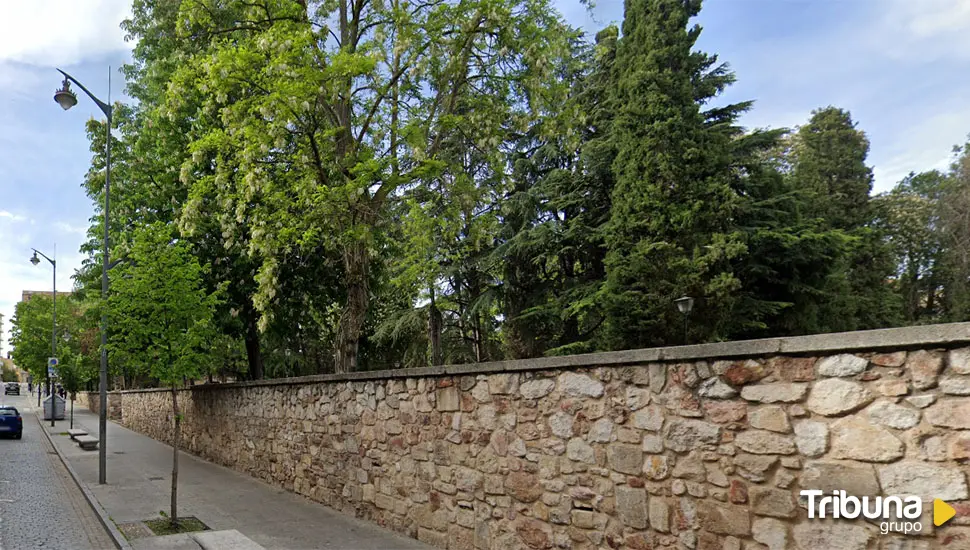 Retirarán un árbol del campo de San Francisco por riesgo de caída