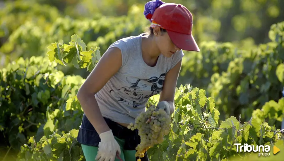 Por primera vez en España el número de mujeres ocupadas supera los 10 millones 