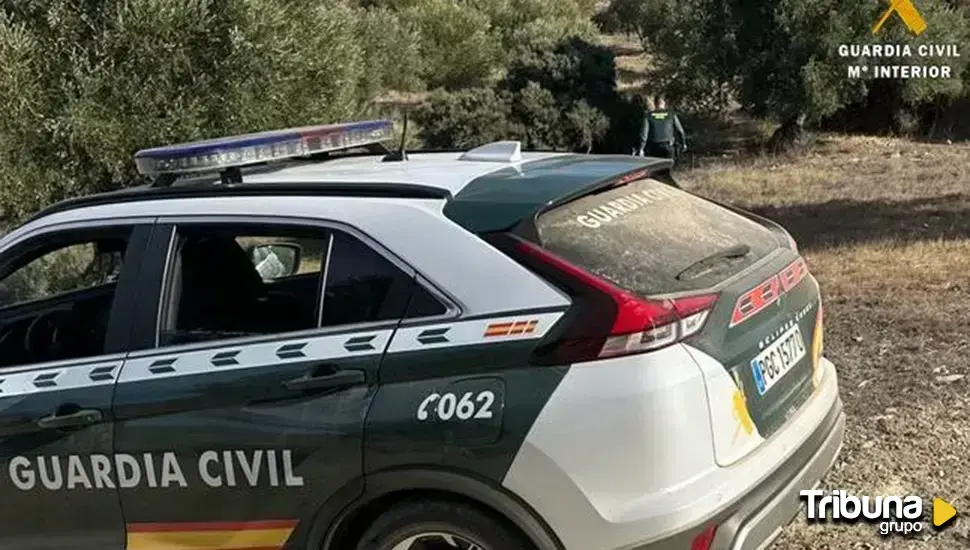 Detenidos tras agredir a pedradas a un agricultor que los pilló robando sandías 