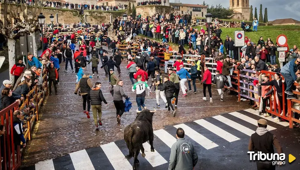 Los candidatos a ser cartel del Carnaval del Toro 2025, expuestos en el Consistorio de Ciudad Rodrigo