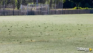 El PSOE exige urgentes medidas para los deteriorados campos de fútbol de La Aldehuela