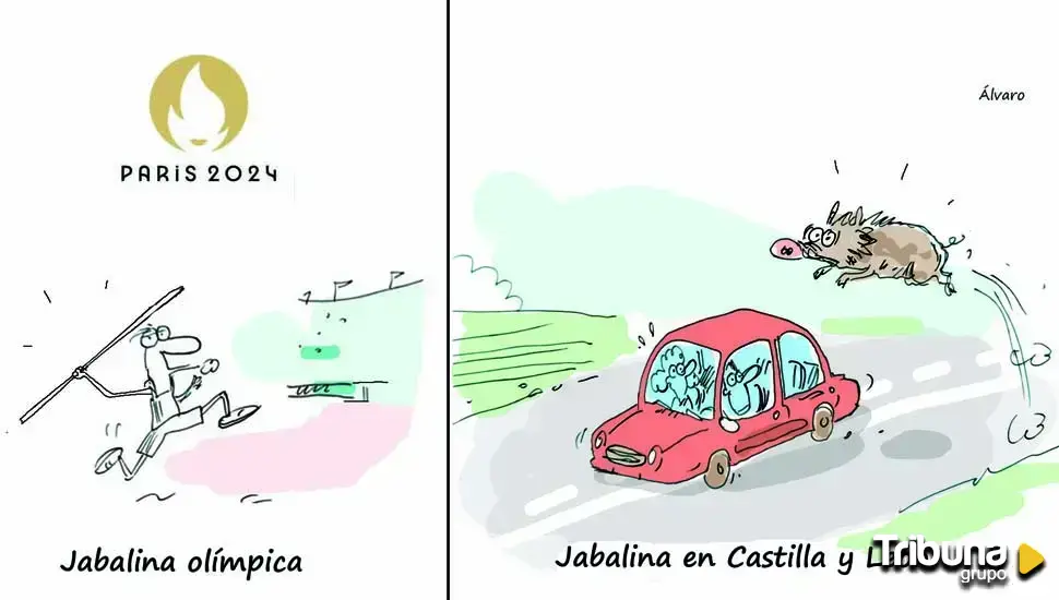 Jabalina olímpica regional