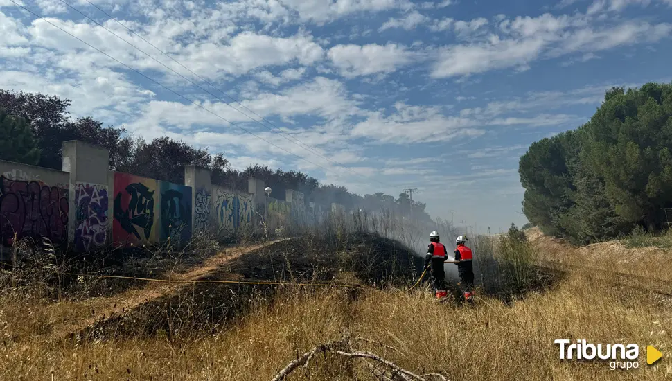 Rápida intervención de los bomberos tras prenderse una zona de matorrales cerca del parque de Würzburg 