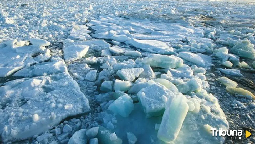 El Ártico podría absorber menos CO2 del previsto debido a la erosión costera