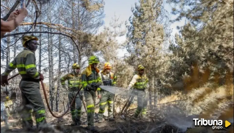 Castilla y León ya acumula 523 incendios forestales y 124 hectáreas quemadas en 2024