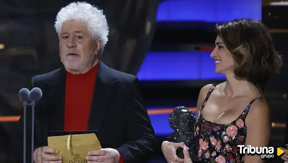 Pedro Almodóvar, Premio Donostia del 72 Festival de Cine de San Sebastián