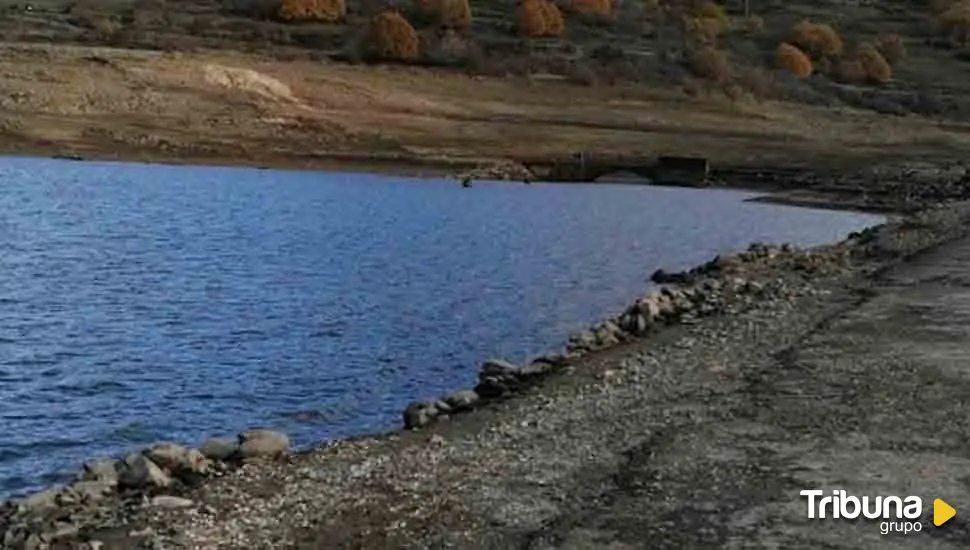 Un vertido de amonio causa la muerte de centenares de peces en el río Arlanzón