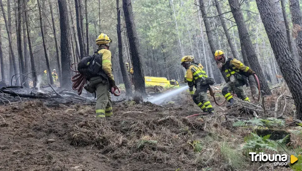 Urgen a aprobar la ley de bomberos forestales para que dejen de ser tratados como personal estacional