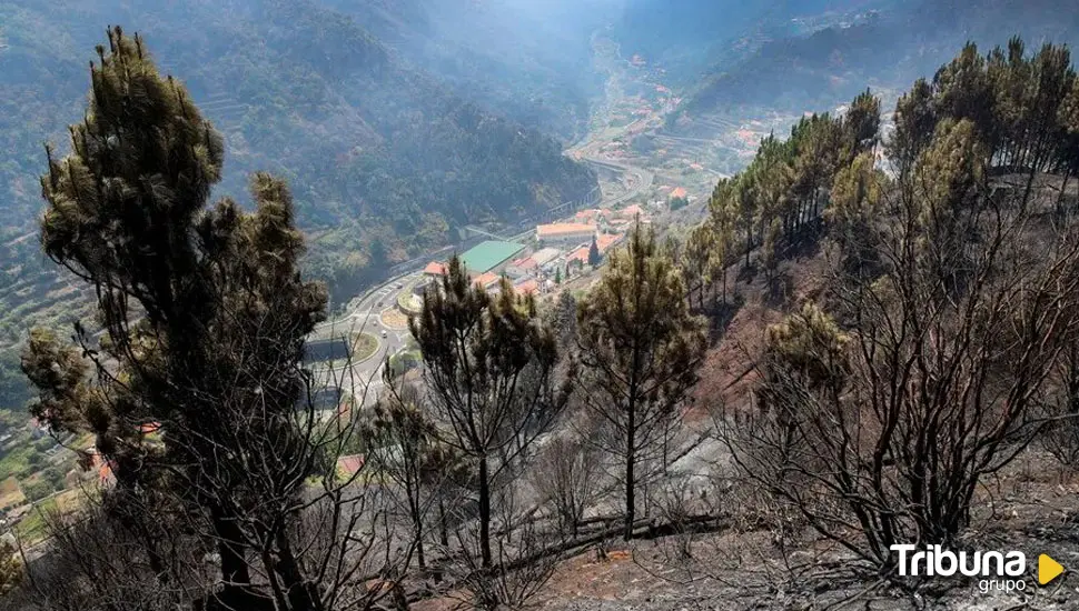 Muere una joven española por deslizamiento de tierras en Madeira