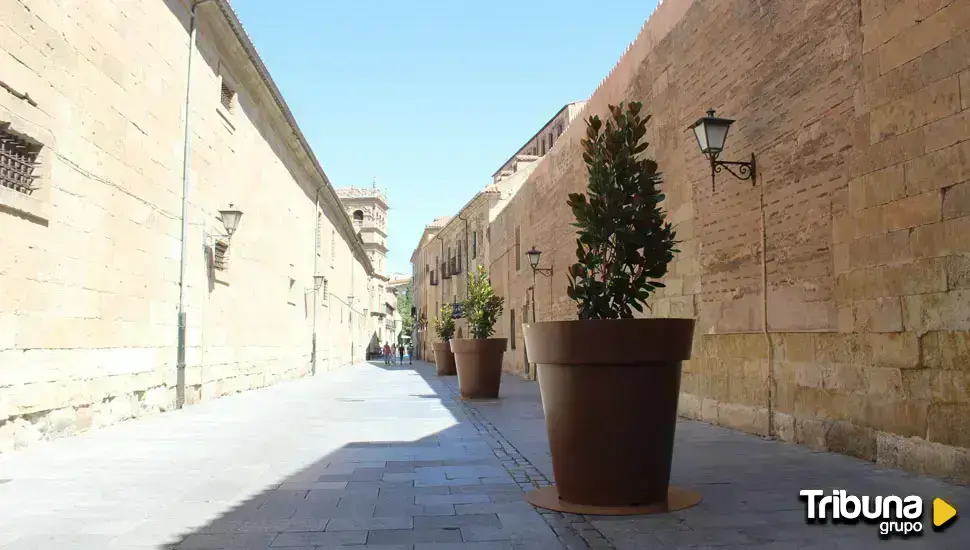 El Ayuntamiento se lleva los maceteros gigantes del centro de Salamanca a otros barrios