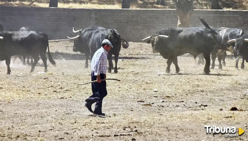 Fallece Ricardo García, mayoral de la ganadería salmantina El Puerto de San Lorenzo 