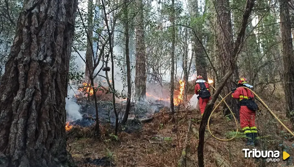 CSIF insta a la Junta la creación de brigadas para investigar los incendios forestales