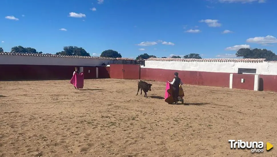 El Bolsín Taurino Mirobrigense recibe la Medalla de Oro de la Provincia 