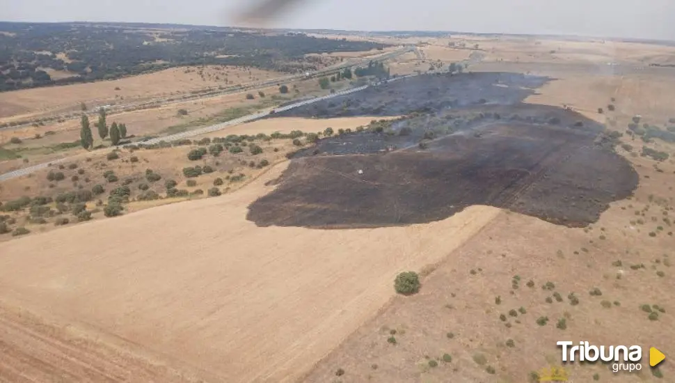 El incendio forestal de Buenavista baja a nivel cero por su "evolución favorable"