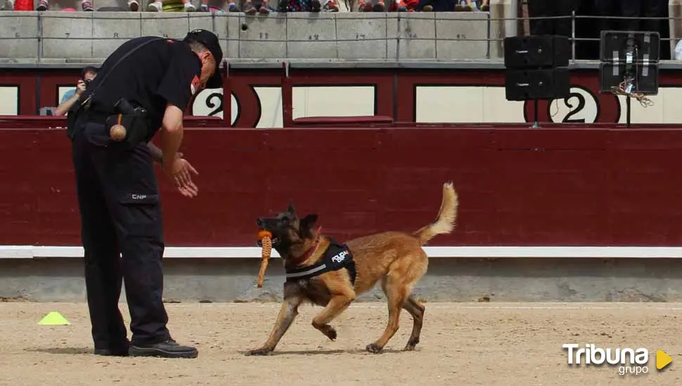 Exhibición de la Unidad de Guías Caninos en la jornada inaugural de Salamaq 