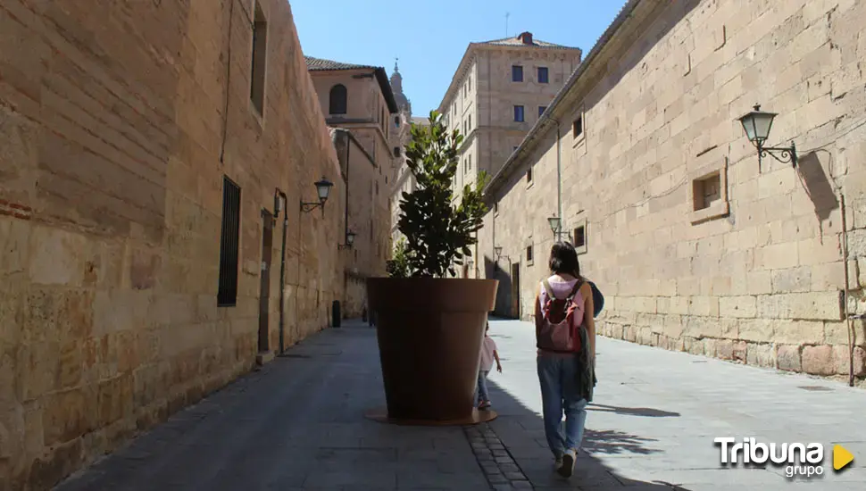 Los maceteros colman el vaso de Vox: el Ayuntamiento "atenta contra Salamanca y su zona monumental"