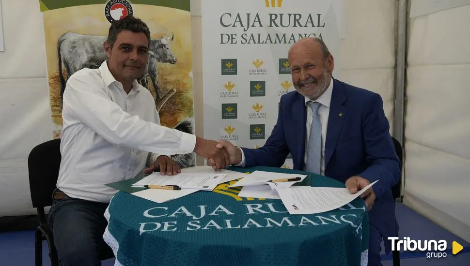 Caja Rural de Salamanca estrecha lazos con los criadores de ganado de Morucha 