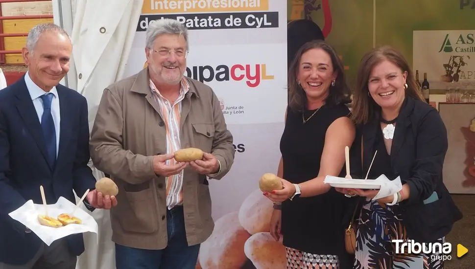 Degustación de 600 raciones de patatas asadas en Salamaq para poner en valor el producto