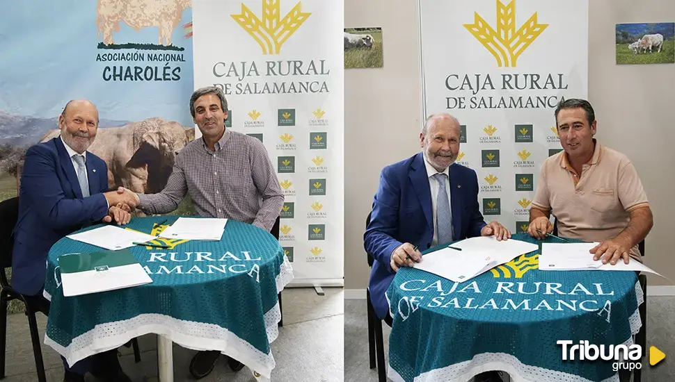 Caja Rural de Salamanca renueva su pacto con la Unión de Criadores y la Asociación de Ganado Vacuno Charolés