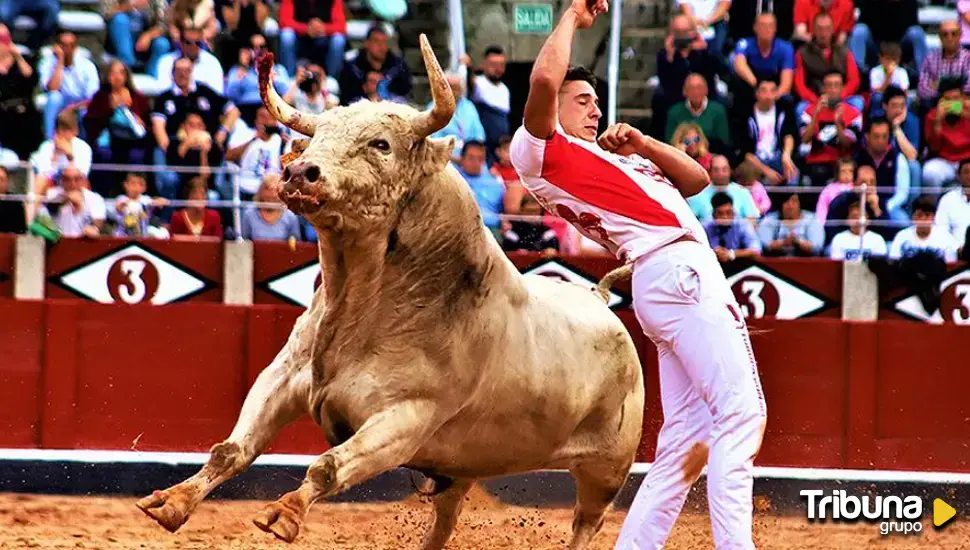 Los recortes, aperitivo de la Feria Taurina de Salamanca