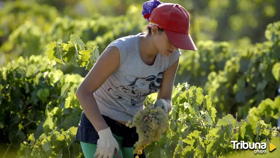 Extranjeros en el campo español: una presencia necesaria pero con necesidad de cambios