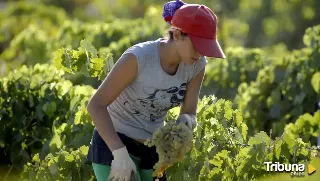 Extranjeros en el campo español: una presencia necesaria pero con necesidad de cambios