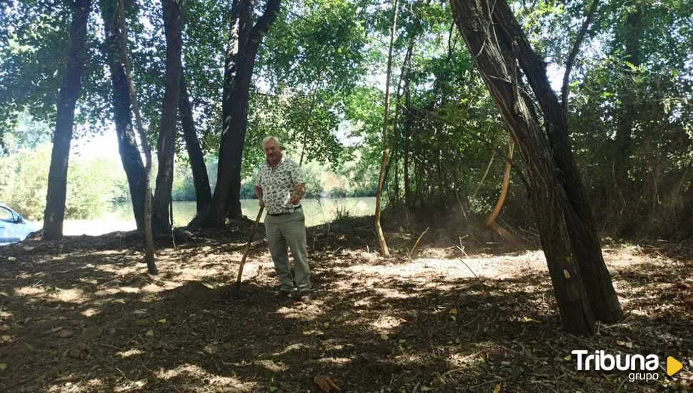 Limpieza y desbroce para la creación de una futura zona recreativa junto al río en la pedanía de Águeda