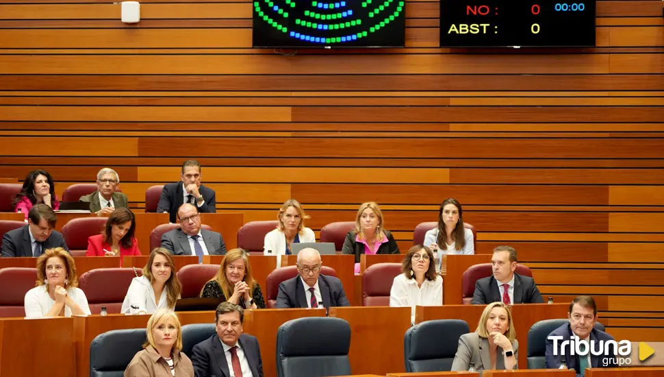 Las Cortes aprueban por unanimidad dotar a Castilla y León de un Plan de salud mental para jóvenes 