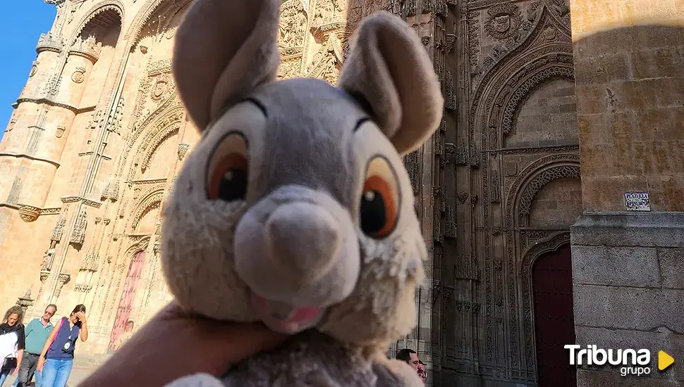 Una familia francesa pierde en Salamanca el peluche de su hijo fallecido y pide ayuda para encontrarlo