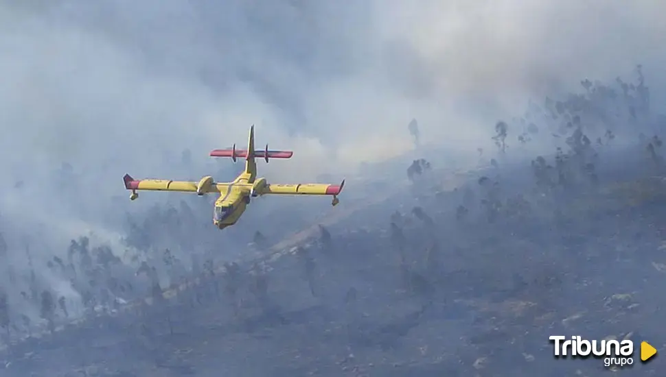 Dos hidroaviones 'salmantinos' luchan contra el fuego en Aveiro: 9 horas de vuelos y 40 descargas de agua