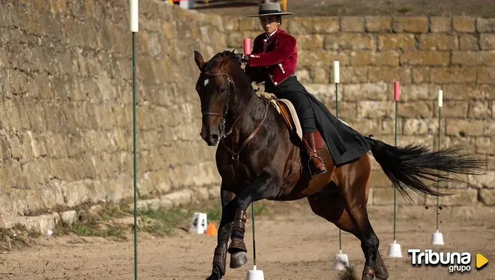 Ciudad Rodrigo ultima los detalles de la XXIII edición de su Feria del Caballo 