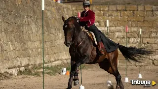 Ciudad Rodrigo ultima los detalles de la XXIII edición de su Feria del Caballo 