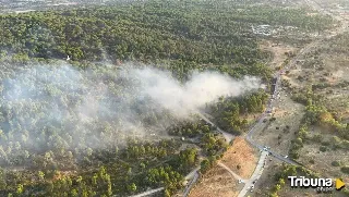 Abogan por recuperar técnicas tradicionales ganaderas para evitar grandes incendios