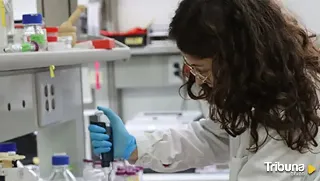 La USAL acapara cuatro de cada diez contratos predoctorales para jóvenes investigadores