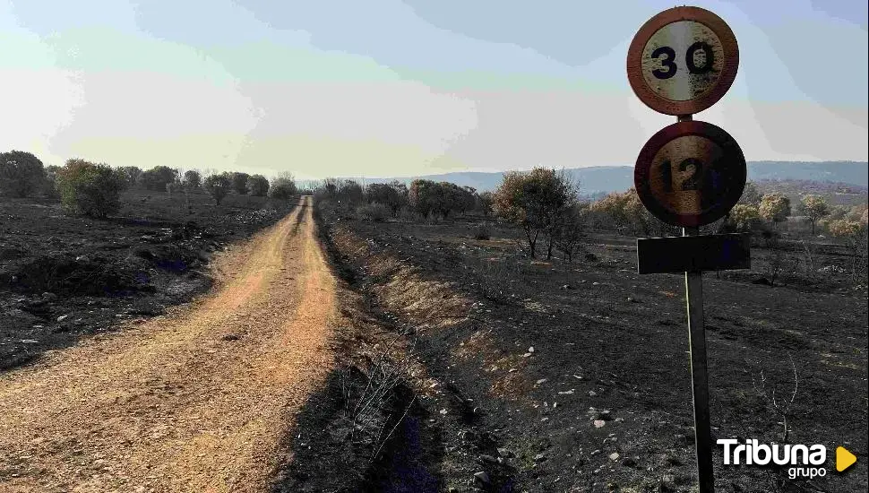 La Junta sostiene que los incendios de la Sierra de la Culebra han permitido redescubrir parte del paisaje cultural de la comarca