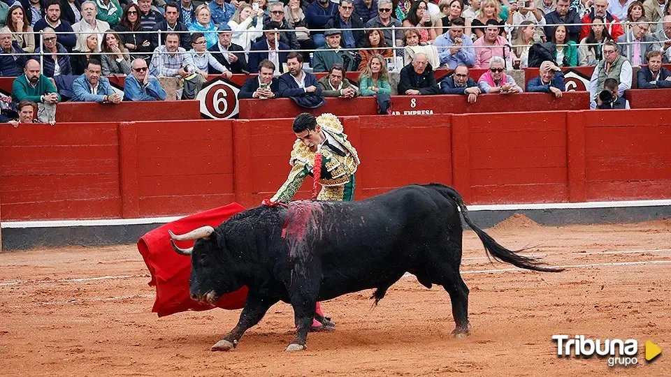 'Querido', de la ganadería Garcigrande, ganador del 'Toro de Oro' de 2024 de Salamanca