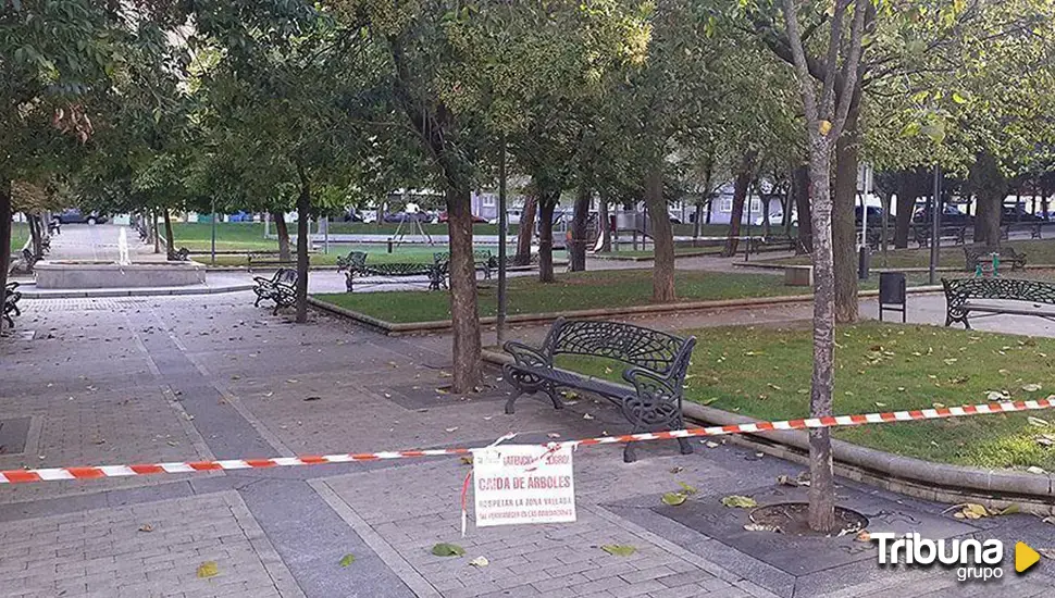 Salamanca cerrará esta noche parques y zonas arboladas por fuertes rachas de viento