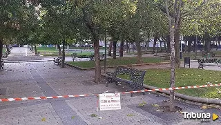 Salamanca cerrará esta noche parques y zonas arboladas por fuertes rachas de viento