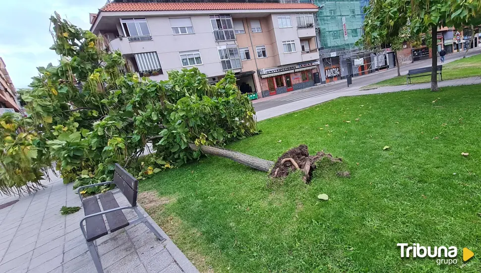 La borrasca Aitor pone en alerta a toda Castilla y León con rachas de viento de hasta 90 km/hora