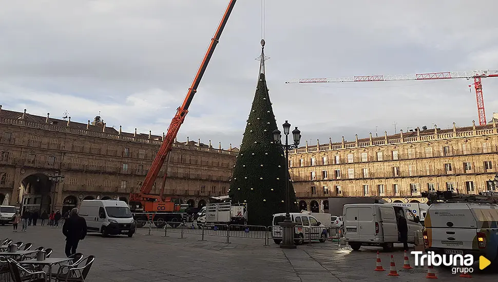 Comienza el desmontaje del árbol de Navidad de Salamanca