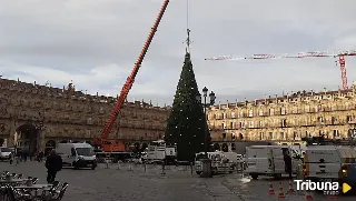 Comienza el desmontaje del árbol de Navidad de Salamanca