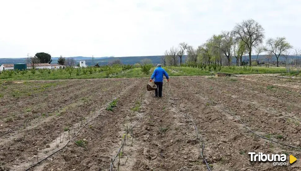 Los pagos de la PAC 2024 alcanzan los 785 millones en Castilla y León