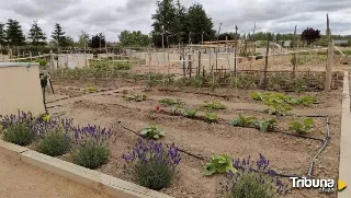 Las novedades para el uso de los Huertos Urbanos de Salamanca 