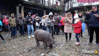 La Alberca destinará la recaudación de la rifa del marrano de San Antón a Alcer