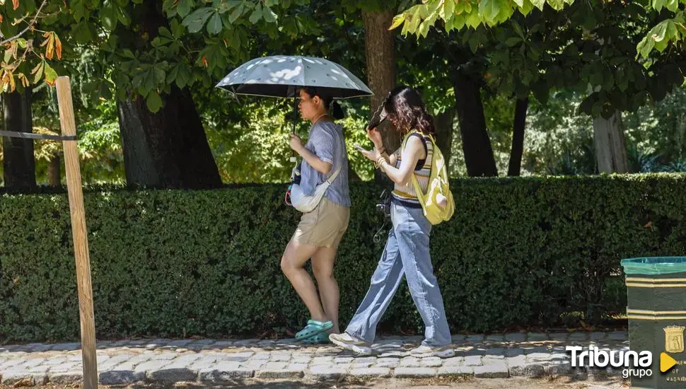 Más de 9.300 jóvenes de Salamanca, dados de alta en la Seguridad Social en 2024 por prácticas no remuneradas