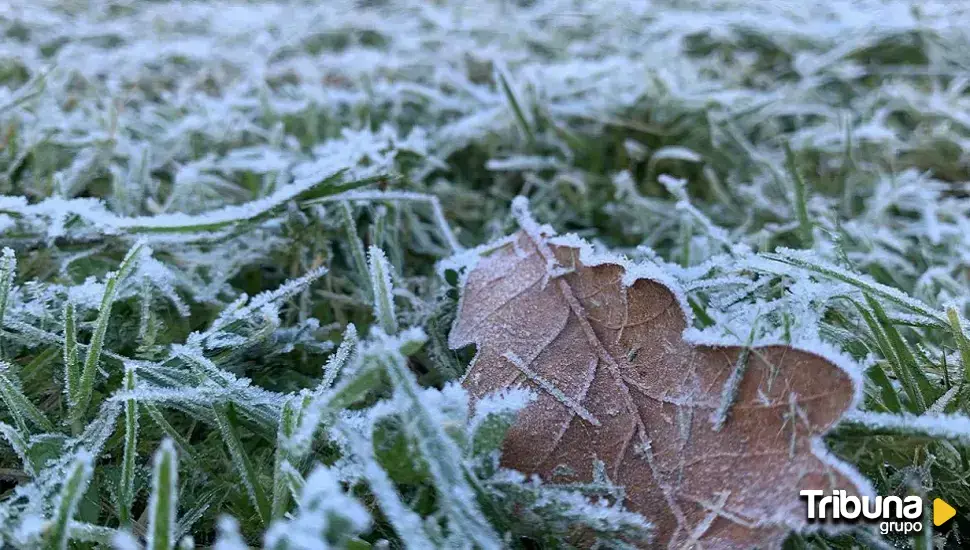 Pedrosillo de los Aires marca la mínima más baja de toda Castilla y León: -7 grados