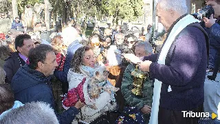 Las mascotas reciben su bendición por San Antón: "Sencillo, simpático y significativo"