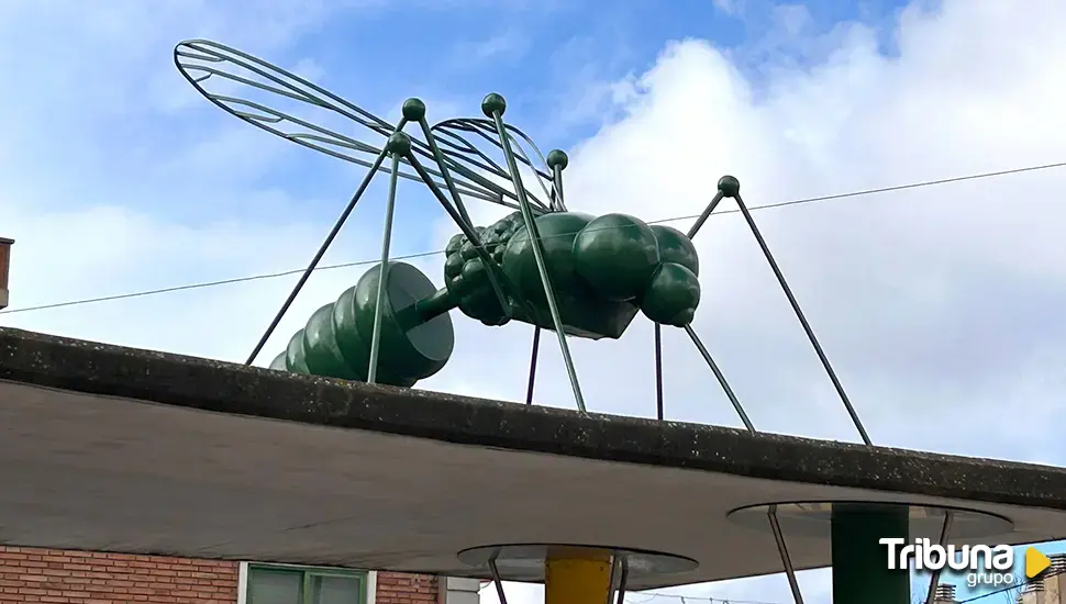 Los bichos que habitan en Santa Marta y atraen las miradas de vecinos y visitantes