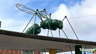 Los bichos que habitan en Santa Marta y atraen las miradas de vecinos y visitantes