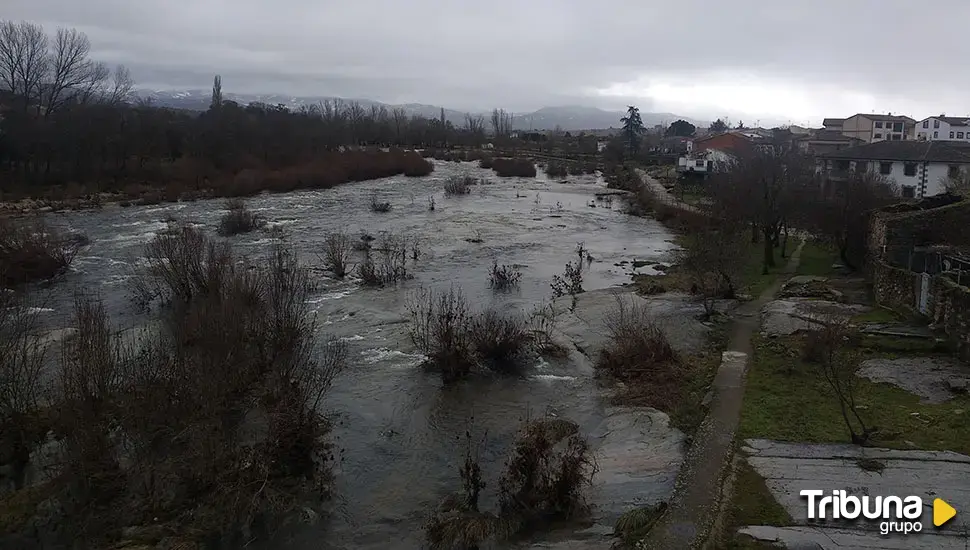 Así luce el Tormes a su paso por Puente del Congosto tras las últimas lluvias 